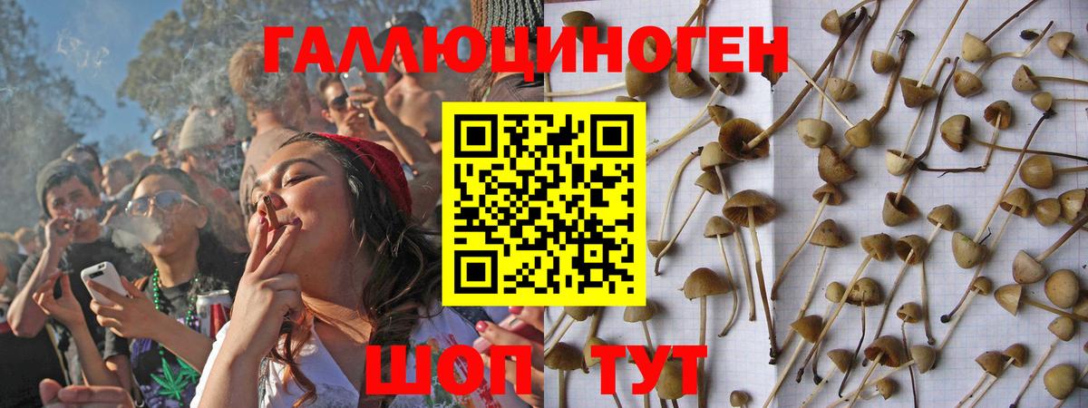 Псилоцибиновые грибы GOLDEN TEACHER Унеча
